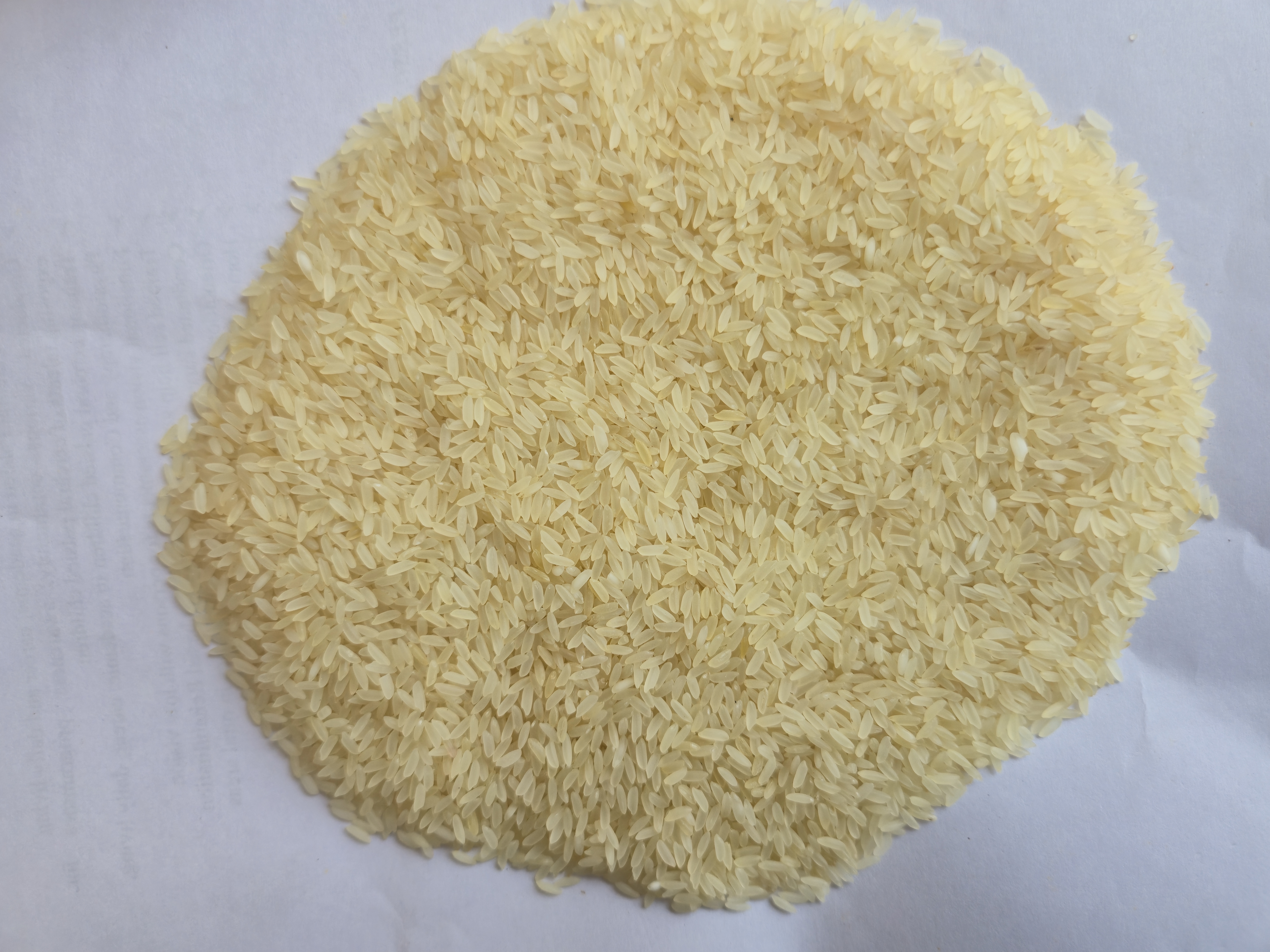 Premium Shree Gold Kichadi Ponni Rice - Raw Grain Quality