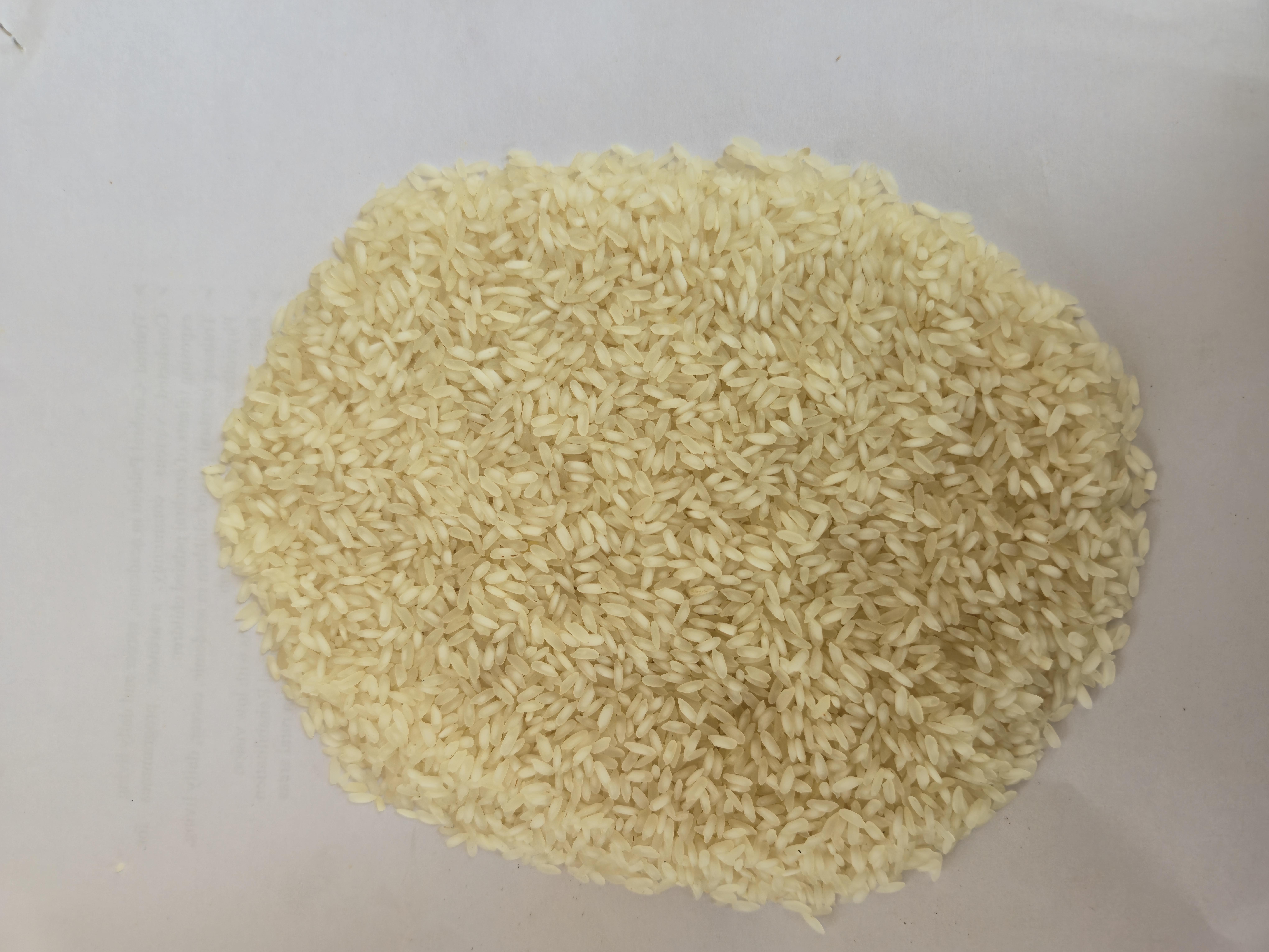 Premium Manachanallur ADT 36 Rice - Raw Grain Quality