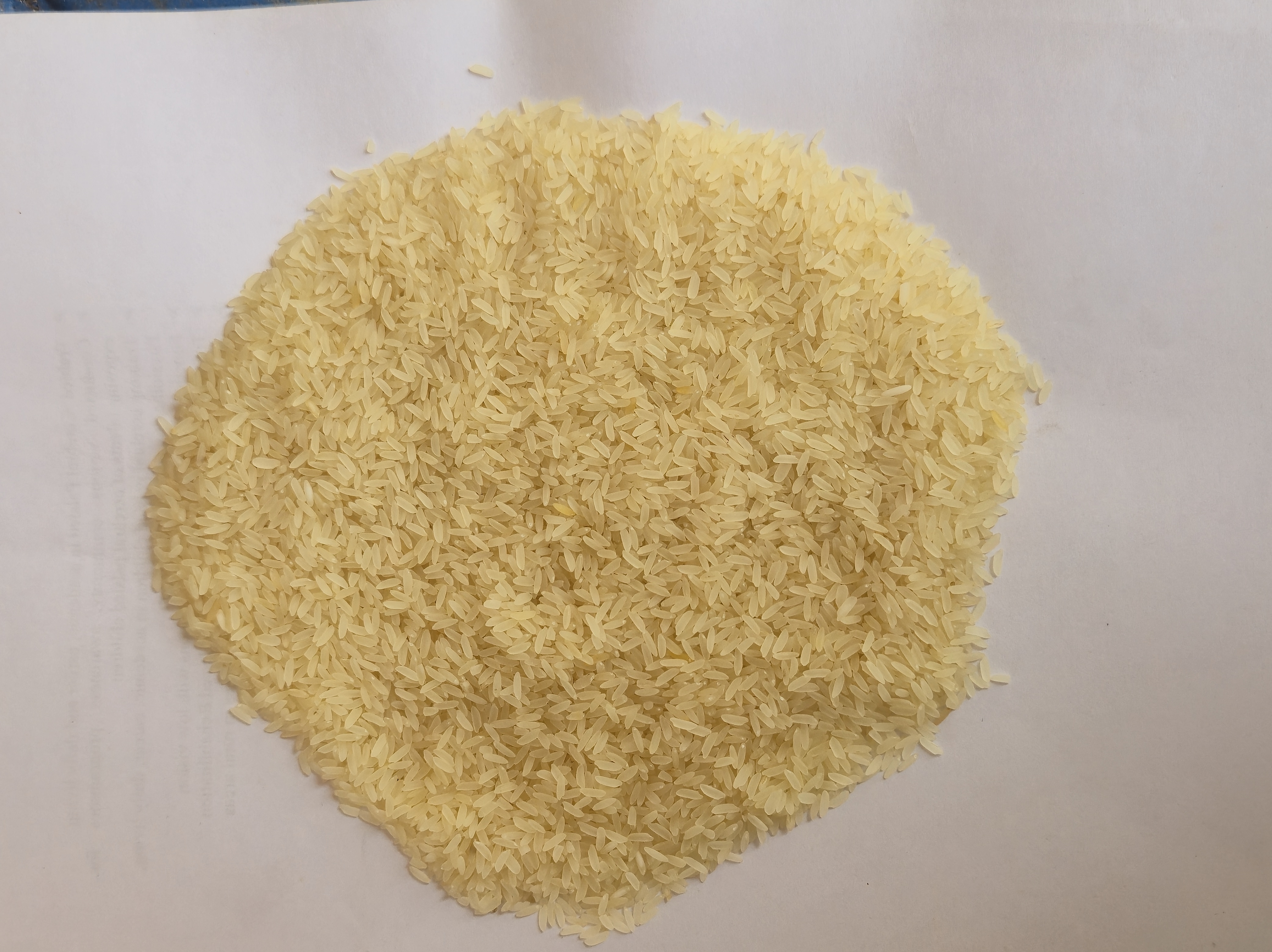Premium Manachanallur Ponni Rice - Raw Grain Quality